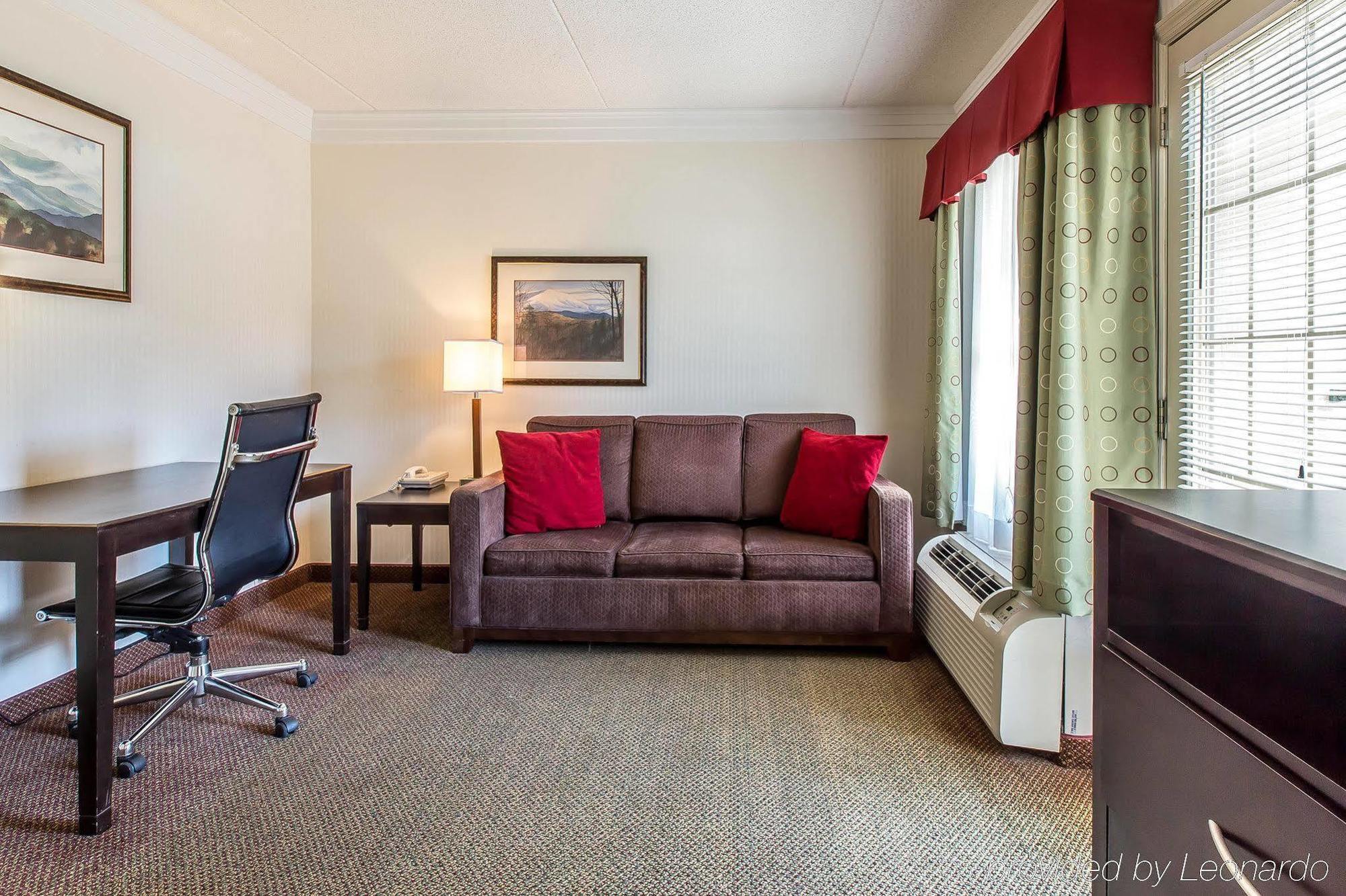 Black Bear Inn & Suites ガトリンバーグ エクステリア 写真
